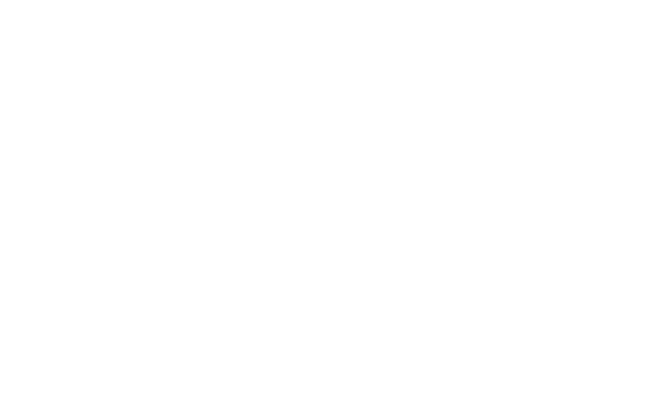 Pontim